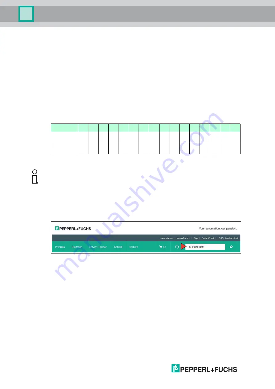 Pepperl+Fuchs WCS DG310 Manual Download Page 14