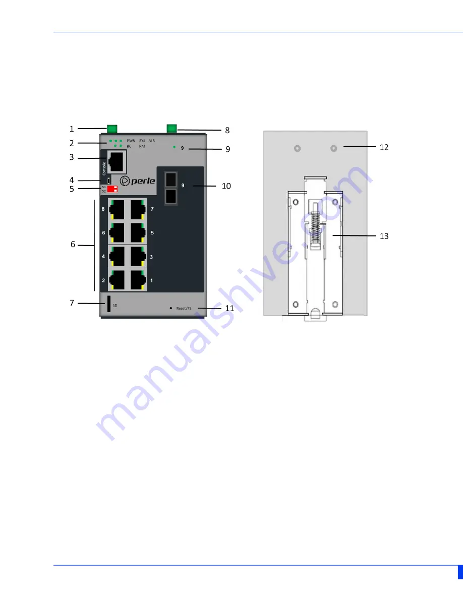 Perle IDS-409G Скачать руководство пользователя страница 6