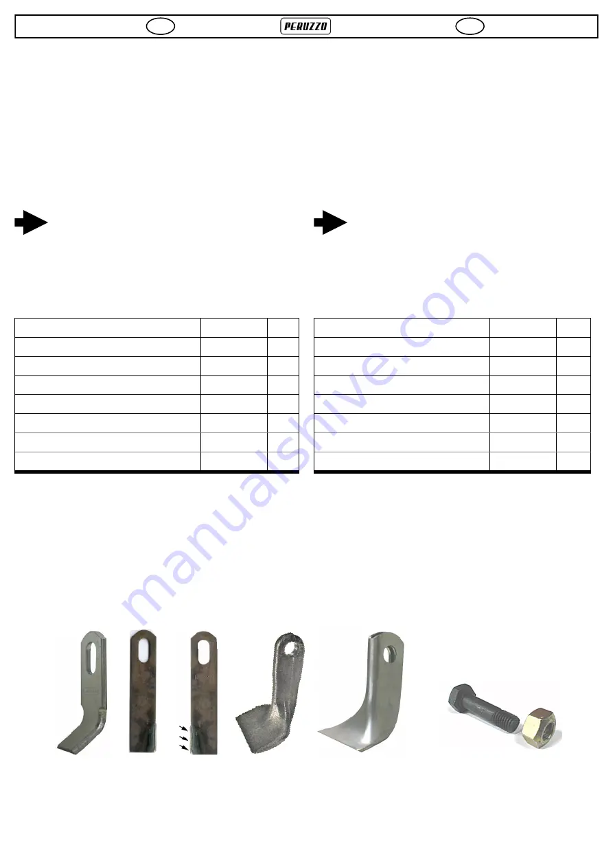 Peruzzo MOTOFOX 1200 Use And Maintenance Manual Download Page 34