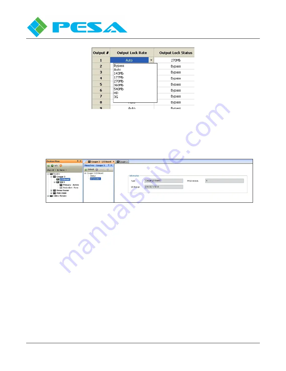 PESA Cougar 3 User Manual Download Page 49