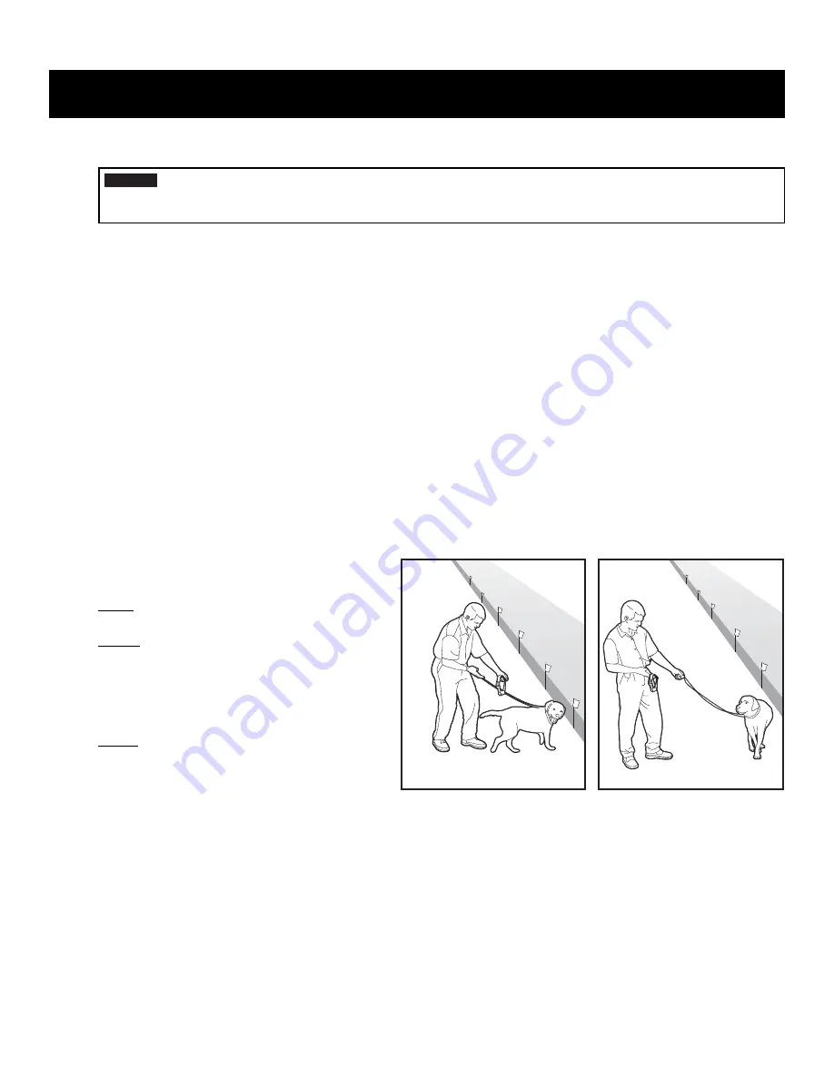 Petsafe PRF-3004W-20 Installation And Operation Manual Download Page 16