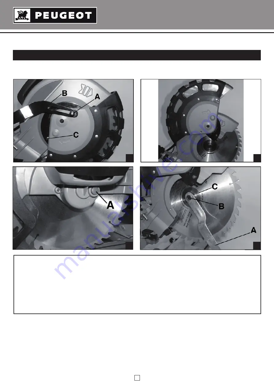 PEUGEOT EnergySaw 254DB Operating Instructions Manual Download Page 81