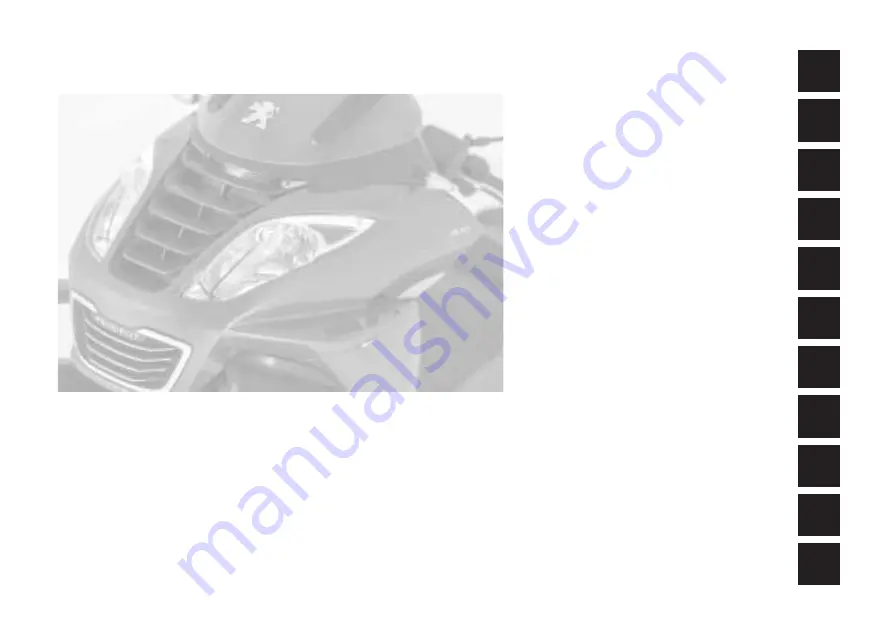 PEUGEOT METROPOLIS 2019 Owner'S Manual Download Page 2