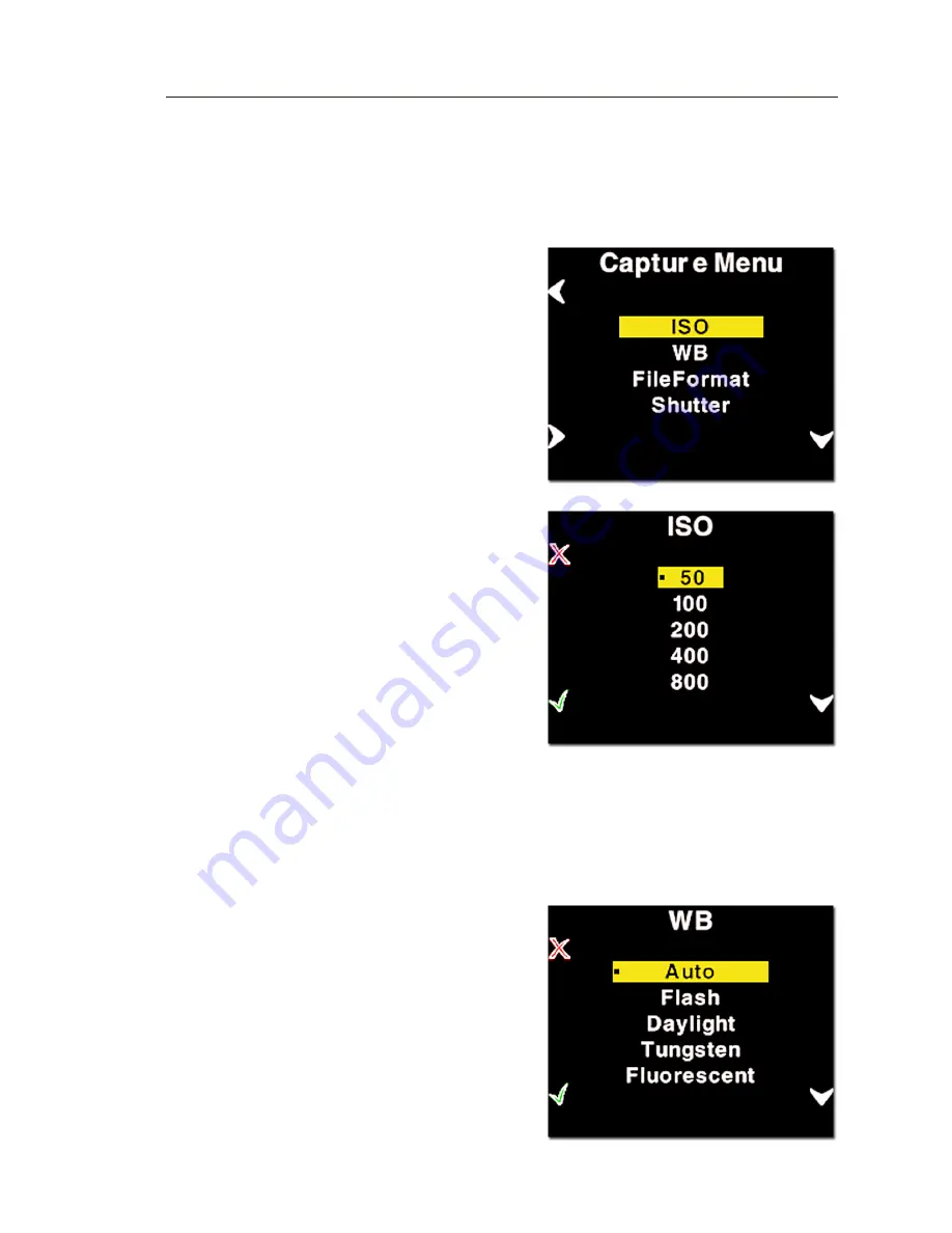 PhaseOne P 20 Reference Manual Download Page 39