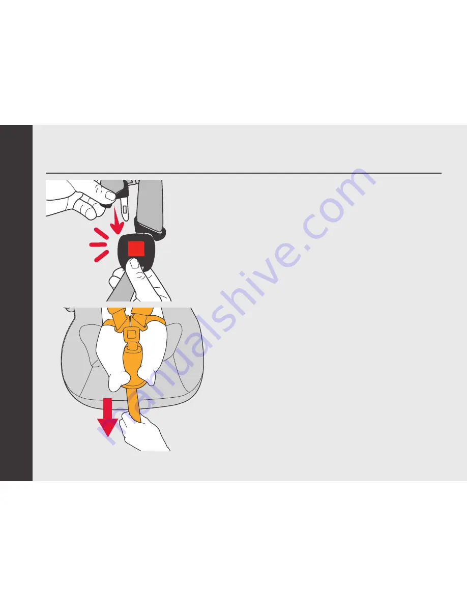 Phil & Teds Alpha PT CS 01 Instruction Manual Download Page 20