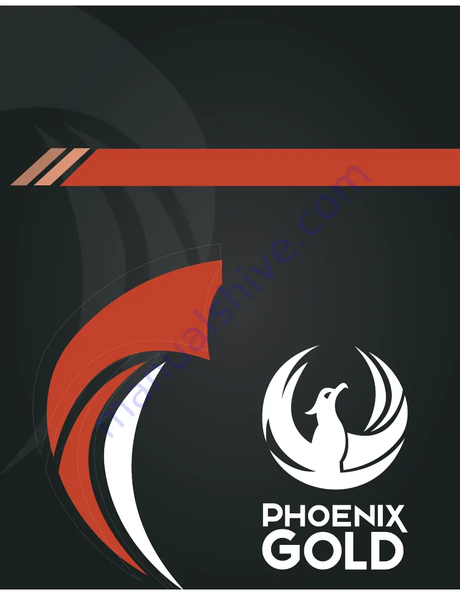 Phoenix Gold EQ9.0 Скачать руководство пользователя страница 1