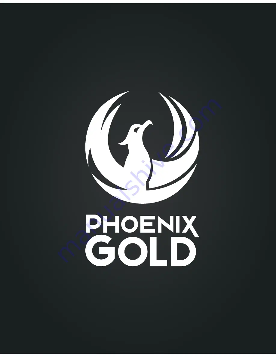 Phoenix Gold EQ9.0 Скачать руководство пользователя страница 5