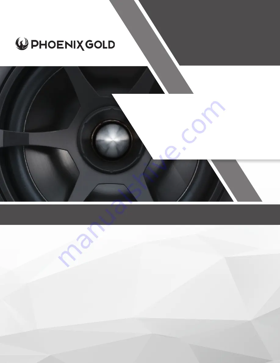 Phoenix Gold SX5CS Скачать руководство пользователя страница 1