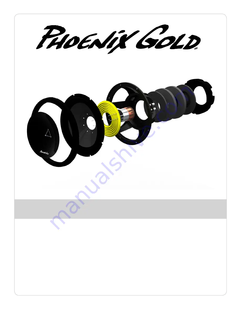 Phoenix Gold TI212D4 Скачать руководство пользователя страница 1