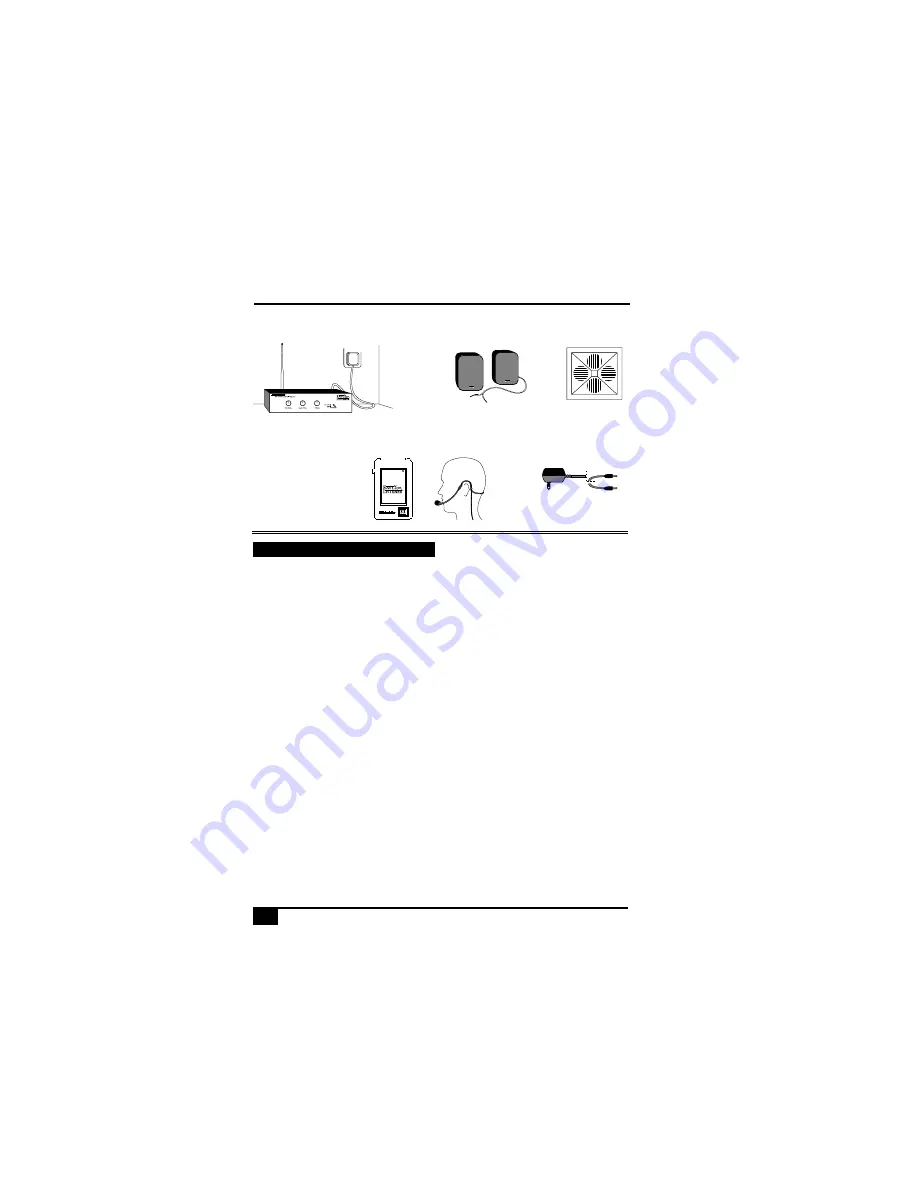 Phonic Ear PE 210 User Instructions Download Page 4