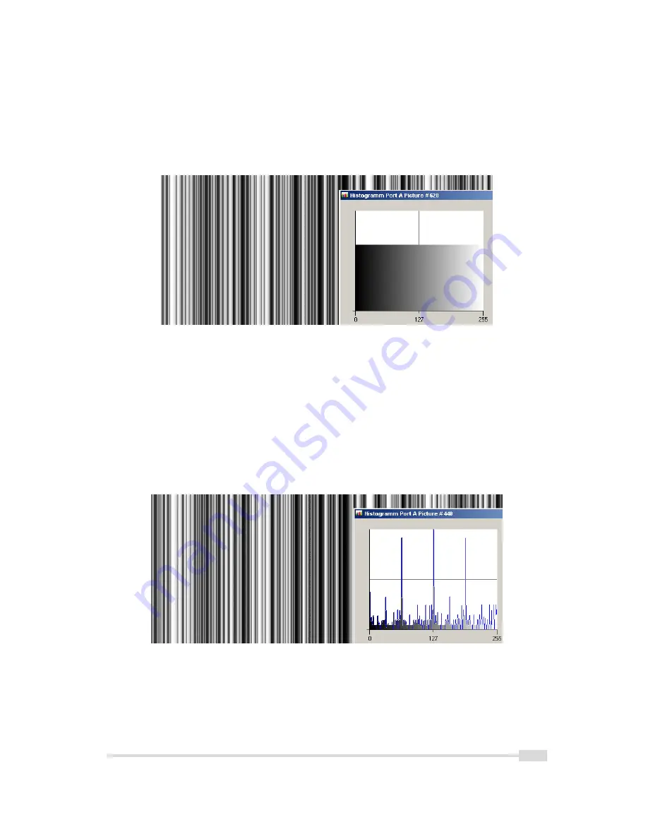 Photon Focus MV1-D2080(IE) Series User Manual Download Page 81