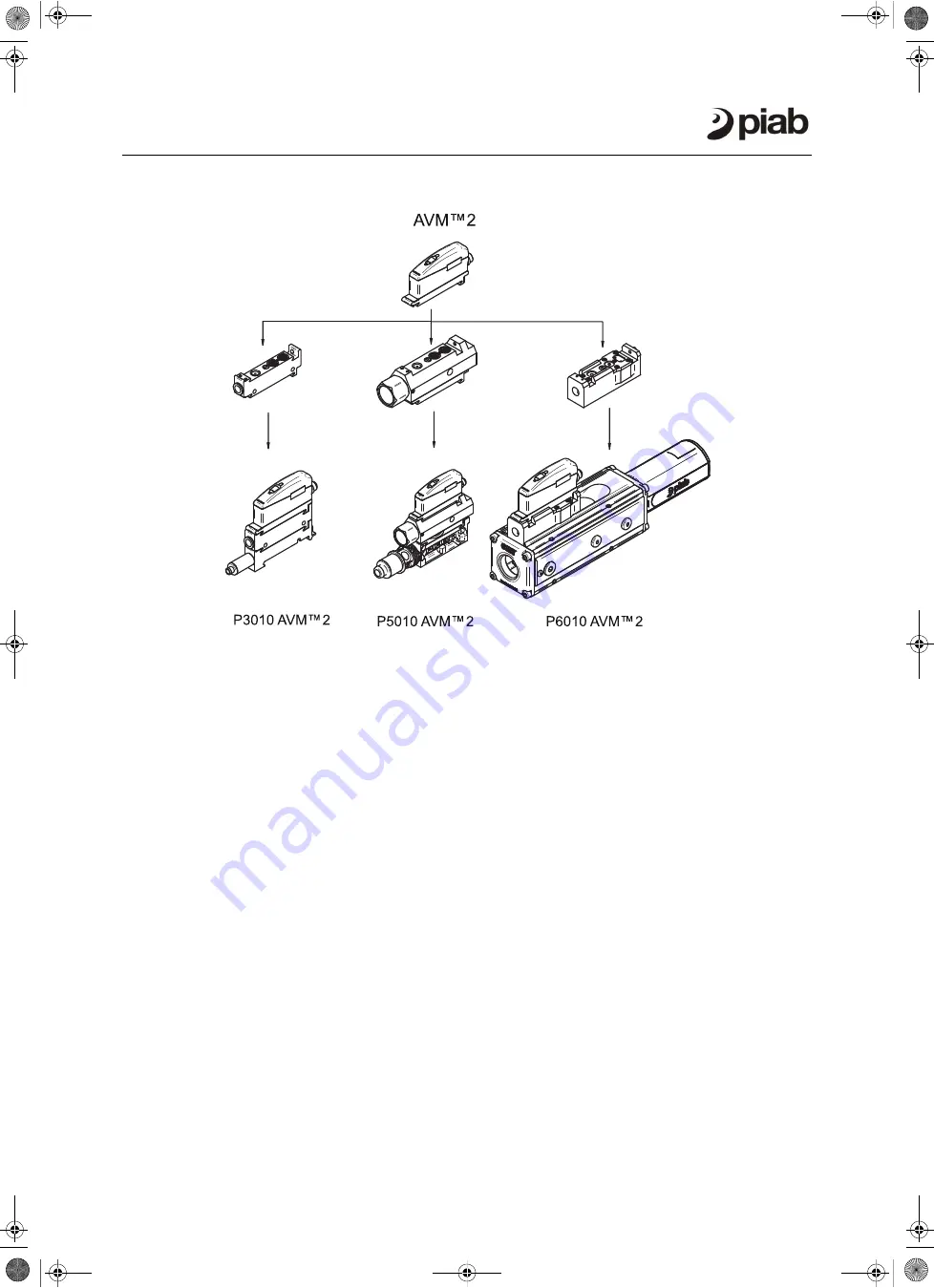 PIAB AVM 2 P3010 Manual Download Page 67