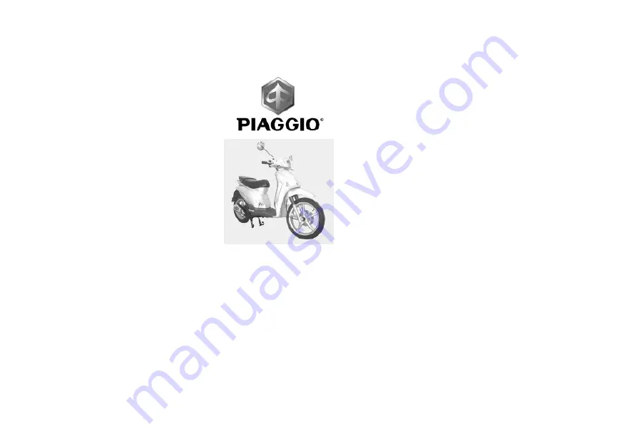 PIAGGIO Liberty 125 - 200 Euro 3 Скачать руководство пользователя страница 65