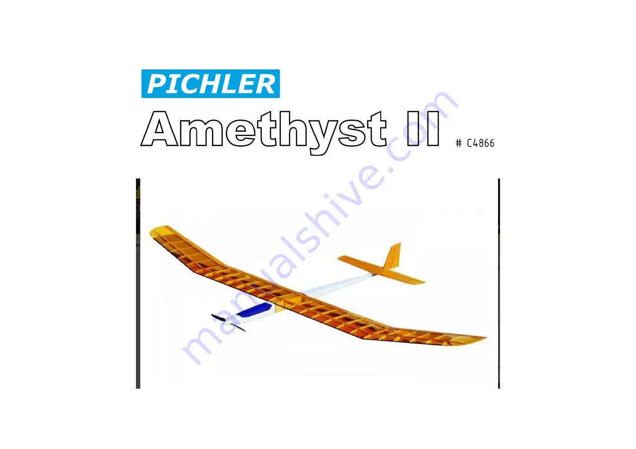 Pichler Amethyst II Скачать руководство пользователя страница 1