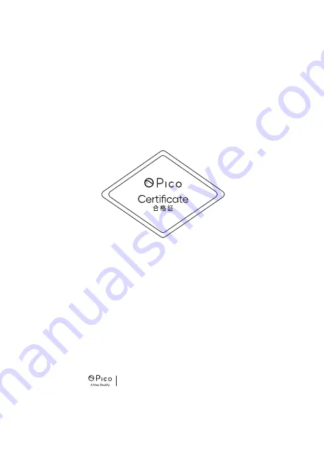 PICO A7B10 User Manual Download Page 56