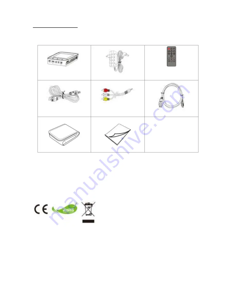 PICO MPP-14001 Скачать руководство пользователя страница 4