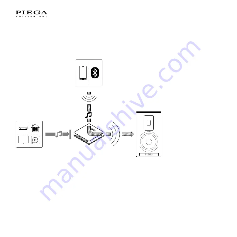 Piega Premium Wireless 301 Скачать руководство пользователя страница 34