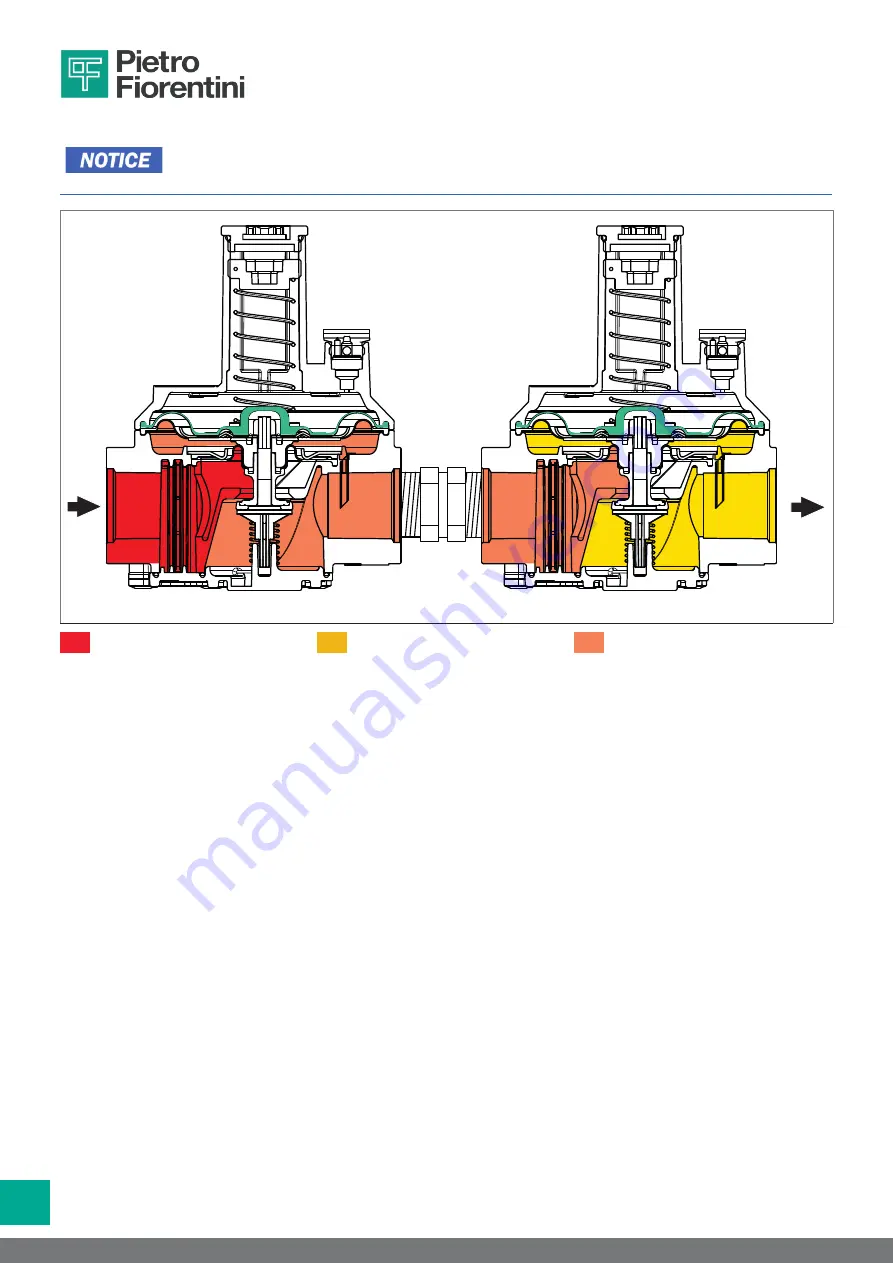 PIETRO FIORENTINI 30051 Operation And Maintenance Manual Download Page 34