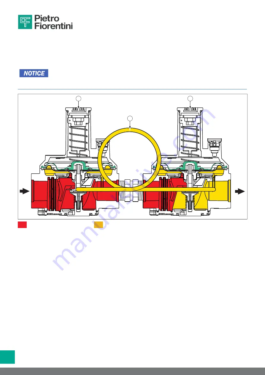 PIETRO FIORENTINI 30051 Operation And Maintenance Manual Download Page 36