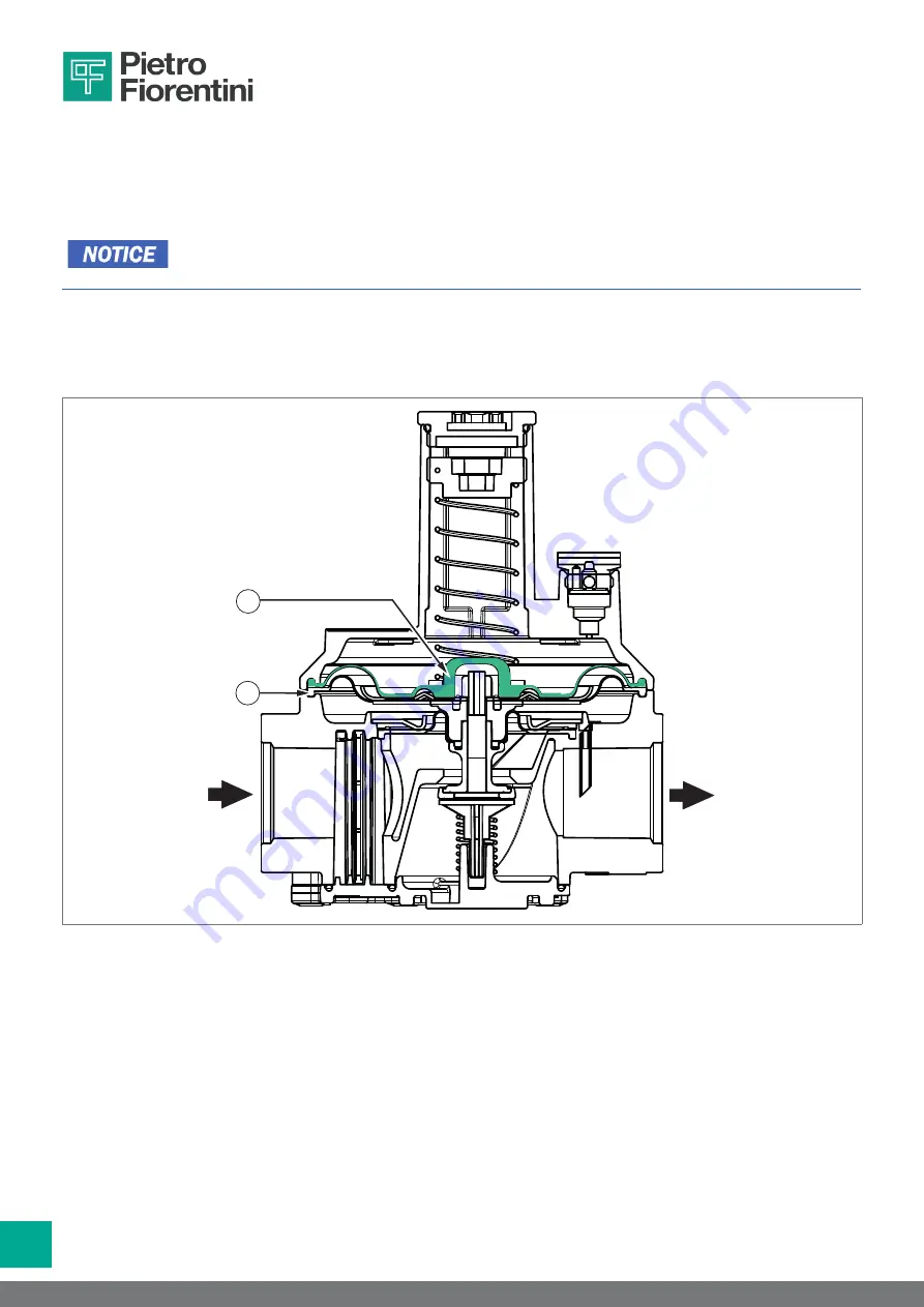 PIETRO FIORENTINI 30051 Operation And Maintenance Manual Download Page 44