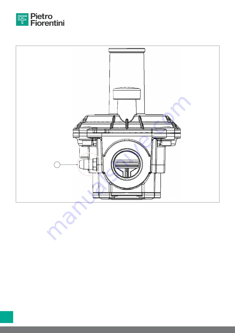 PIETRO FIORENTINI 30051 Operation And Maintenance Manual Download Page 46