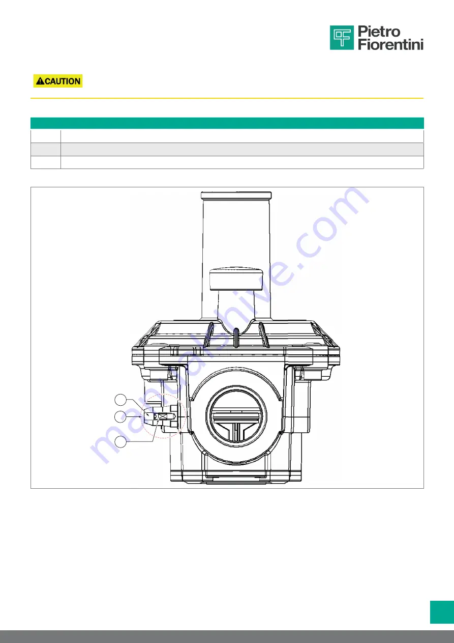 PIETRO FIORENTINI 30051 Operation And Maintenance Manual Download Page 47