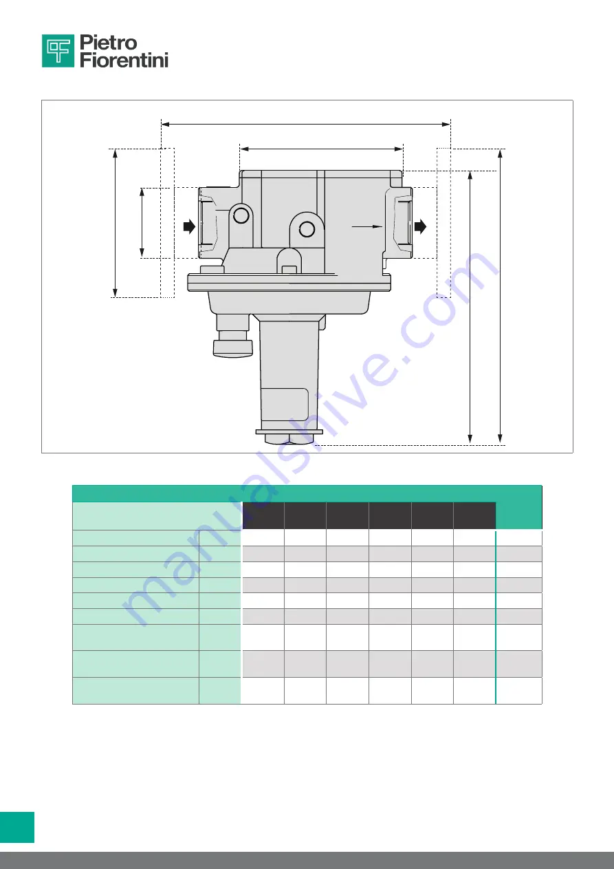 PIETRO FIORENTINI 30051 Operation And Maintenance Manual Download Page 52