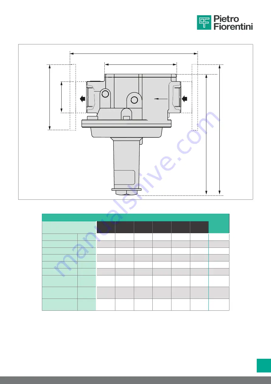 PIETRO FIORENTINI 30051 Operation And Maintenance Manual Download Page 53