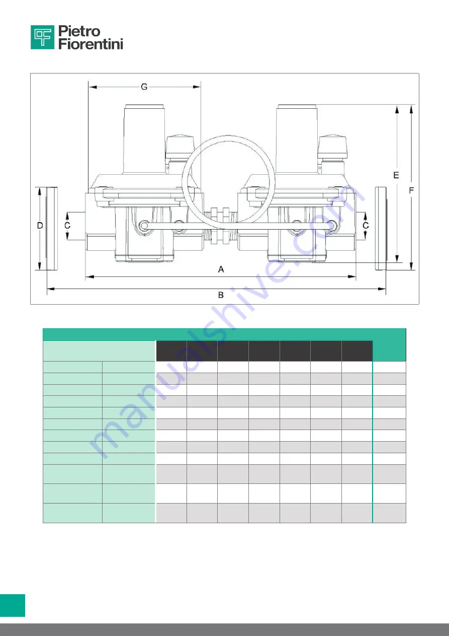 PIETRO FIORENTINI 30051 Operation And Maintenance Manual Download Page 54