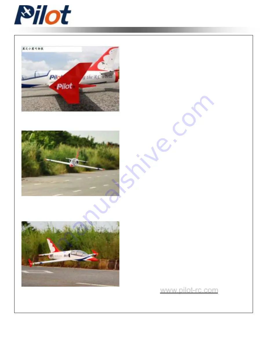 Pilot Communications Dolphin Jet Assembly Manual Download Page 2