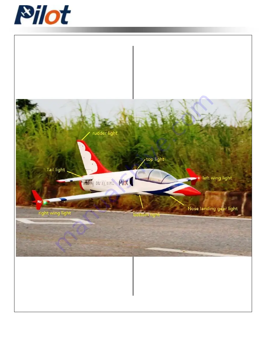 Pilot Communications Dolphin Jet Assembly Manual Download Page 28