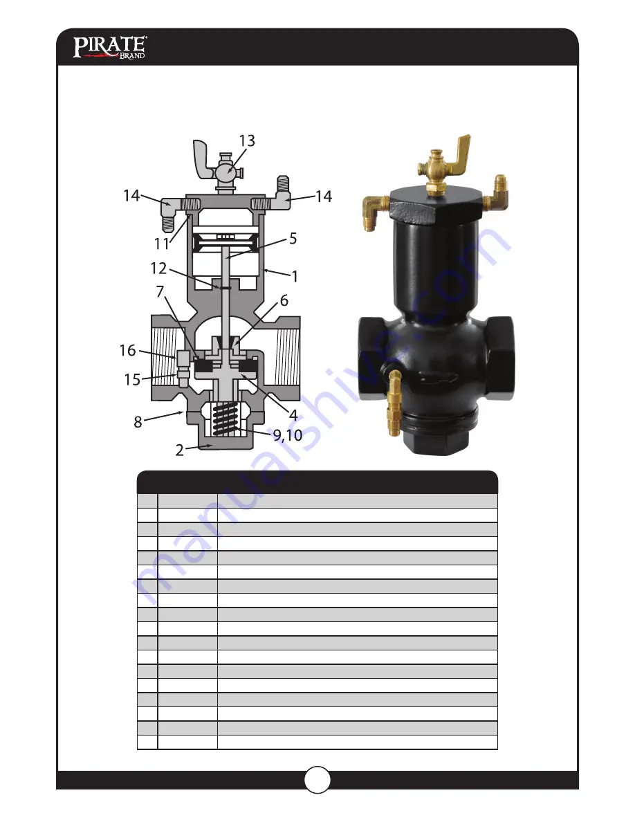 Pirate 201-1780-A User Manual Download Page 25