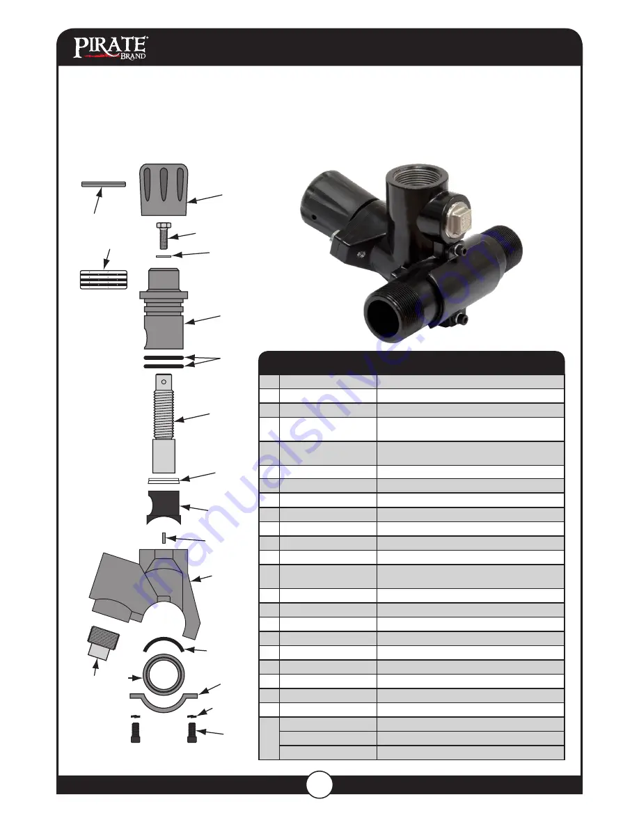 Pirate 201-1780-A User Manual Download Page 29