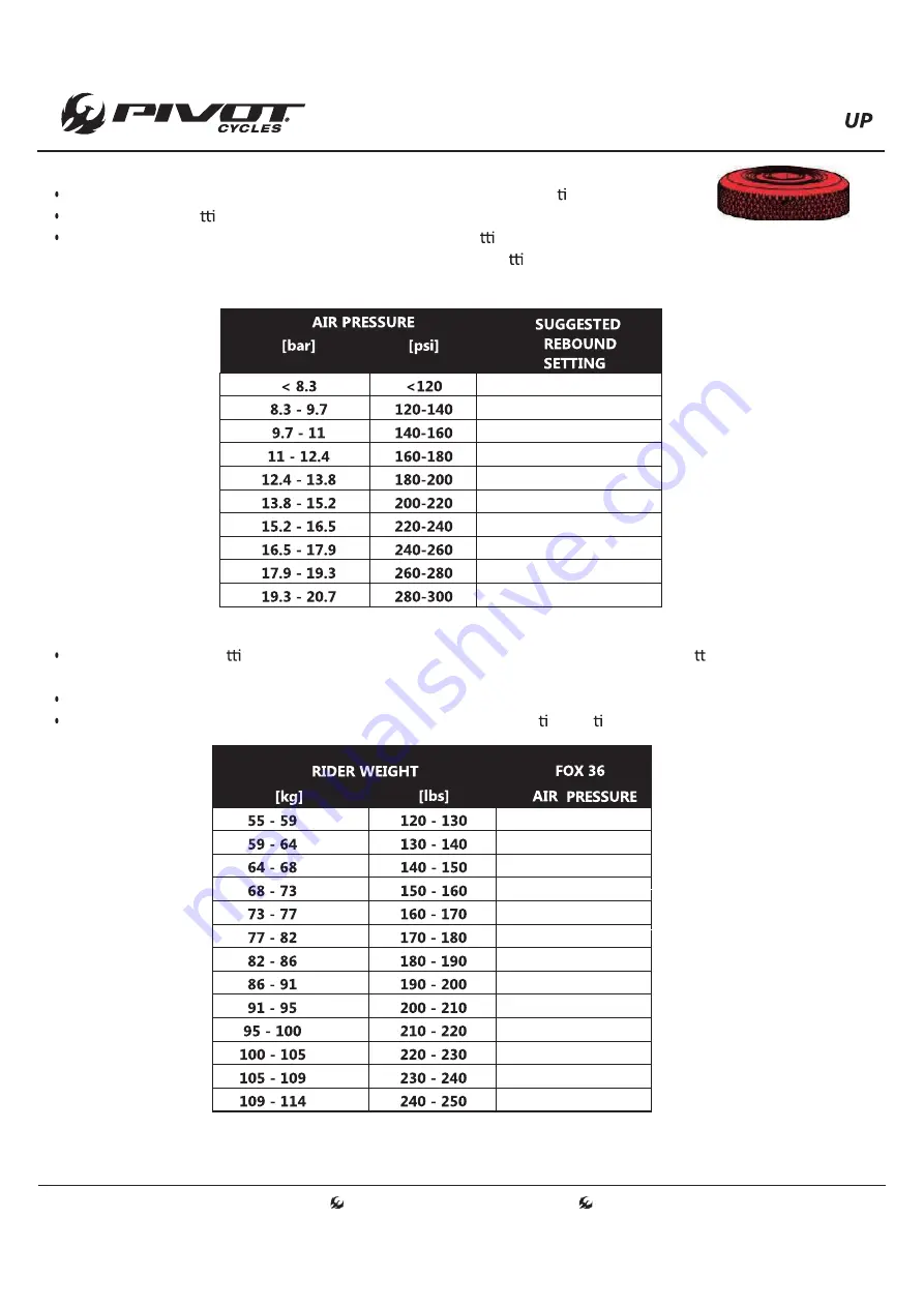 PIVOT cycles Shuttle Race XT Скачать руководство пользователя страница 6