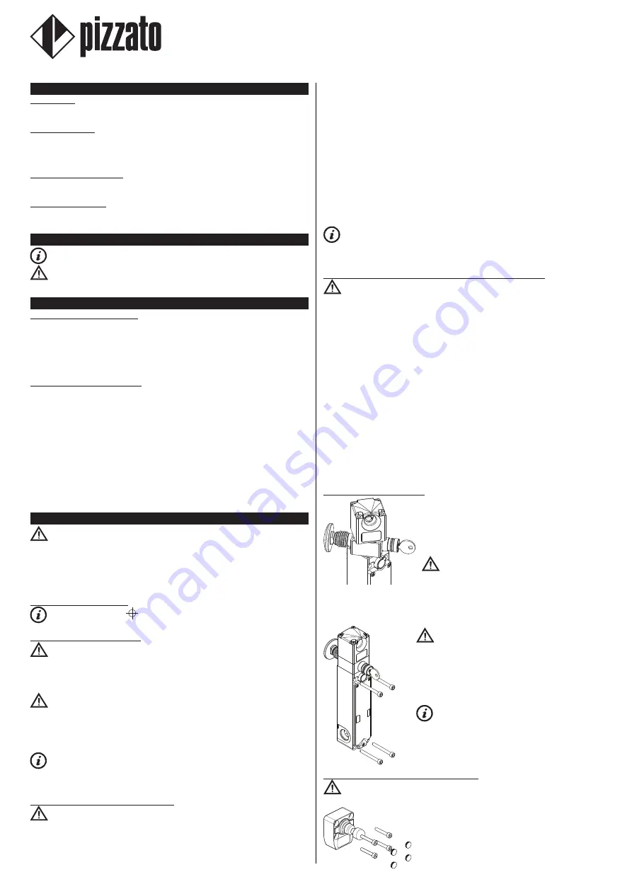 pizzato NG 2D1D411C-F31 Manual Download Page 1