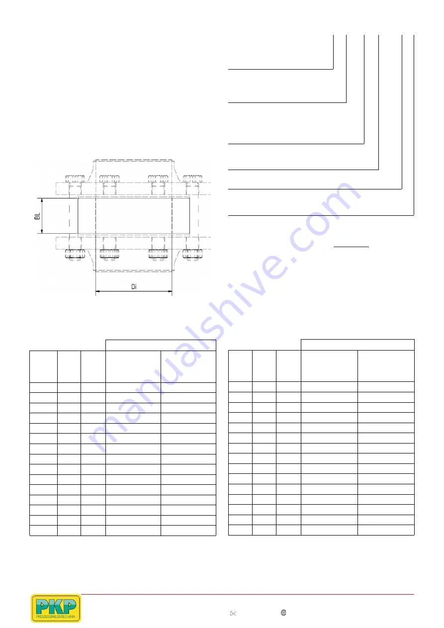 PKP DG04 Series Instruction Manual Download Page 6