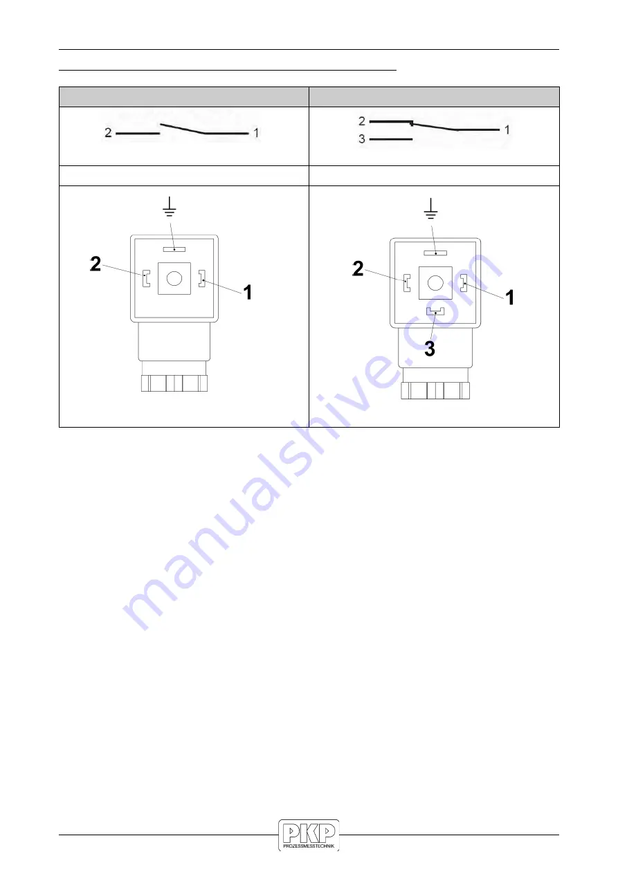 PKP DS02.1 Instruction Manual Download Page 12