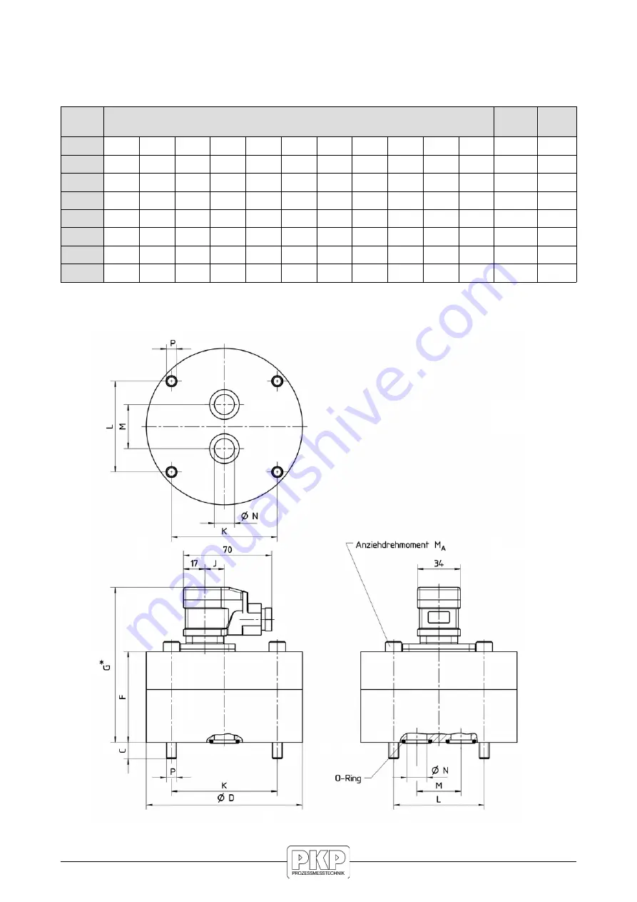 PKP DV04 Series Instruction Manual Download Page 15