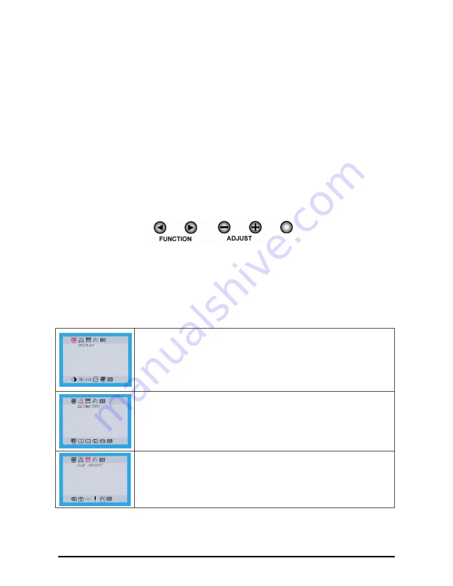 Planar CT1905S Manual Download Page 12