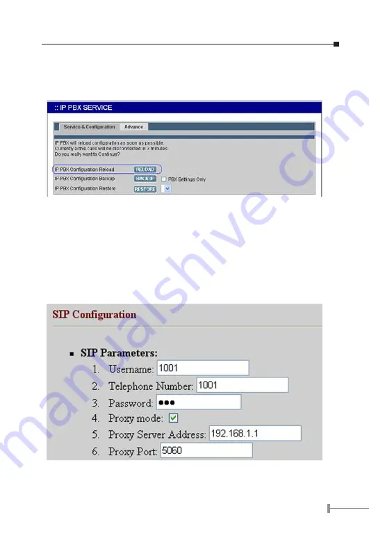 Planet IPX-1800 Manual Download Page 9