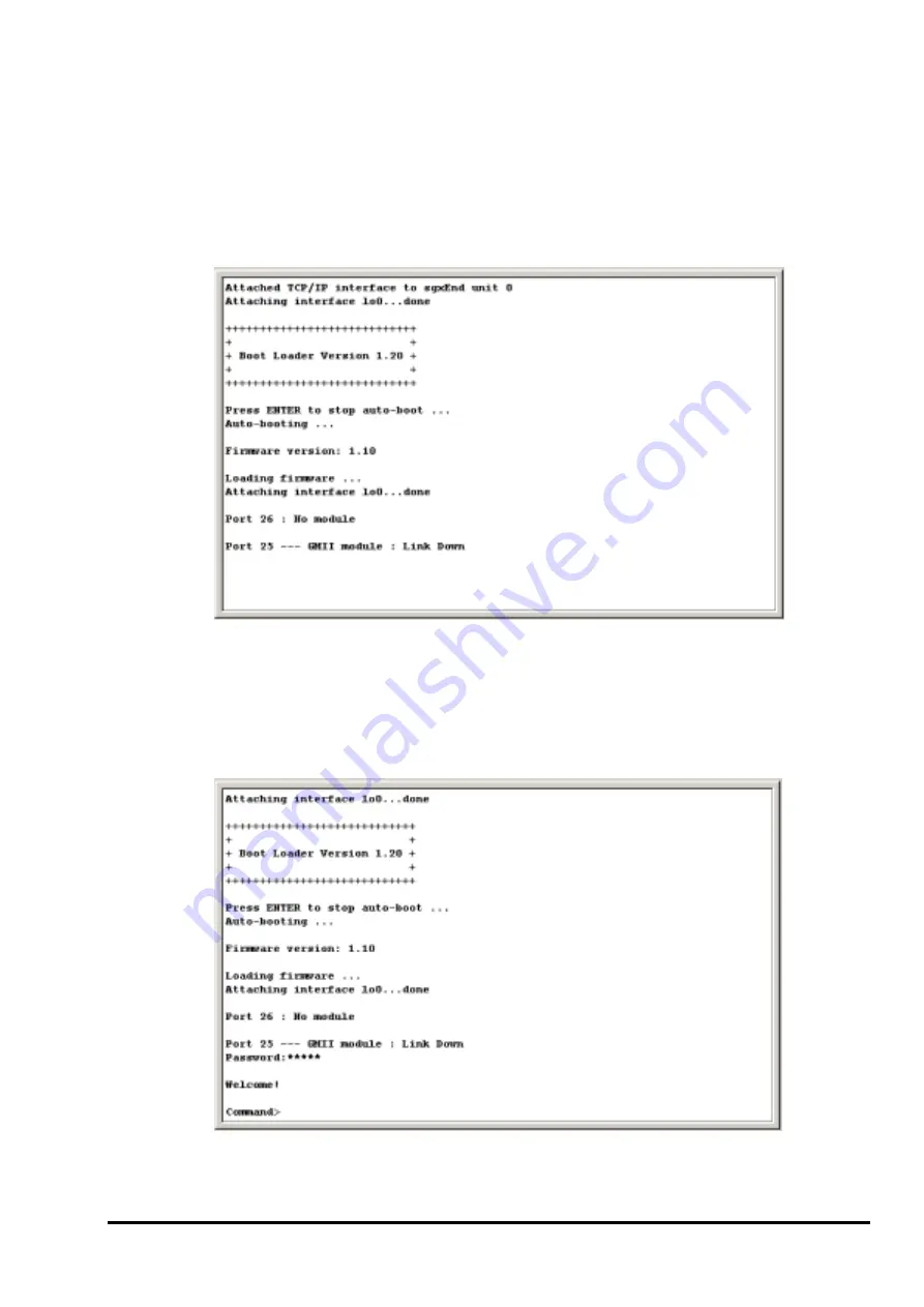 Planet SGSW-2402 User Manual Download Page 10