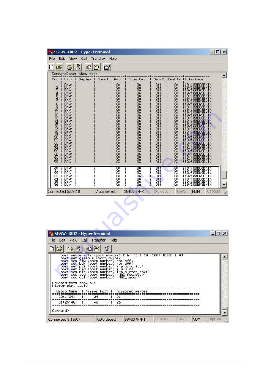 Planet SGSW-4802 User Manual Download Page 60