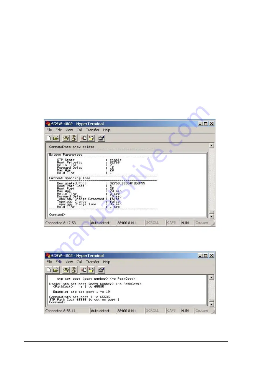 Planet SGSW-4802 User Manual Download Page 70