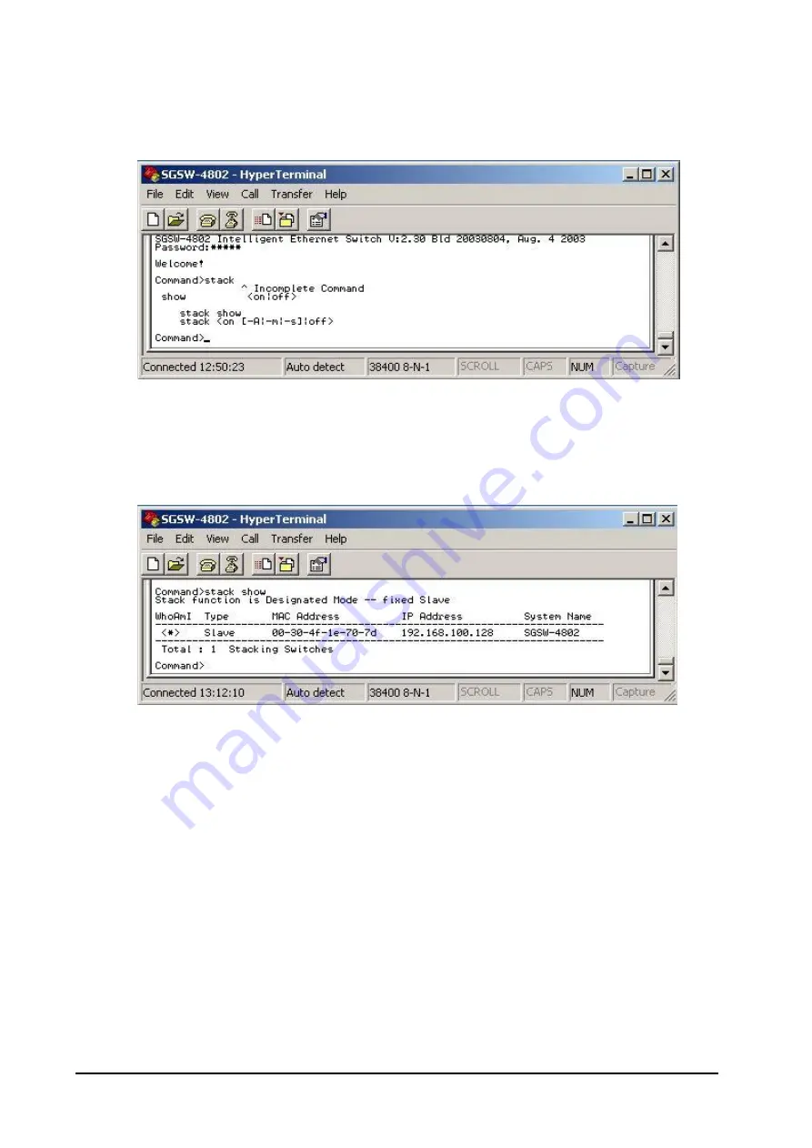 Planet SGSW-4802 User Manual Download Page 74