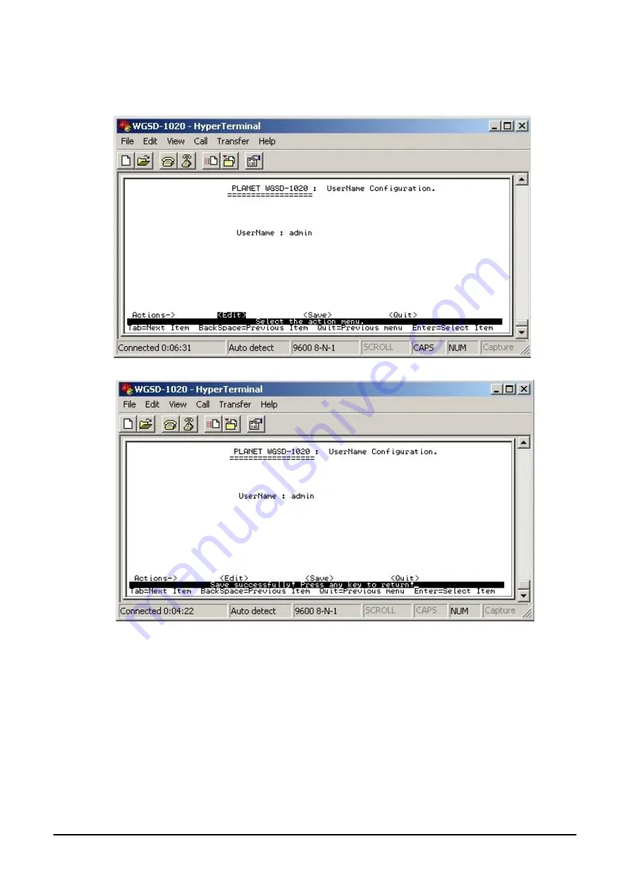 Planet WGSD-1020 User Manual Download Page 20