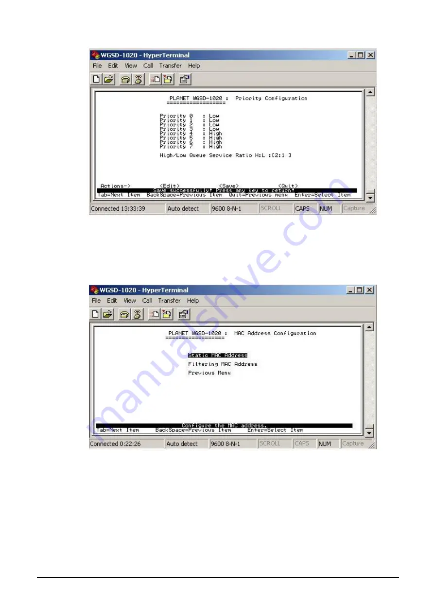 Planet WGSD-1020 User Manual Download Page 28