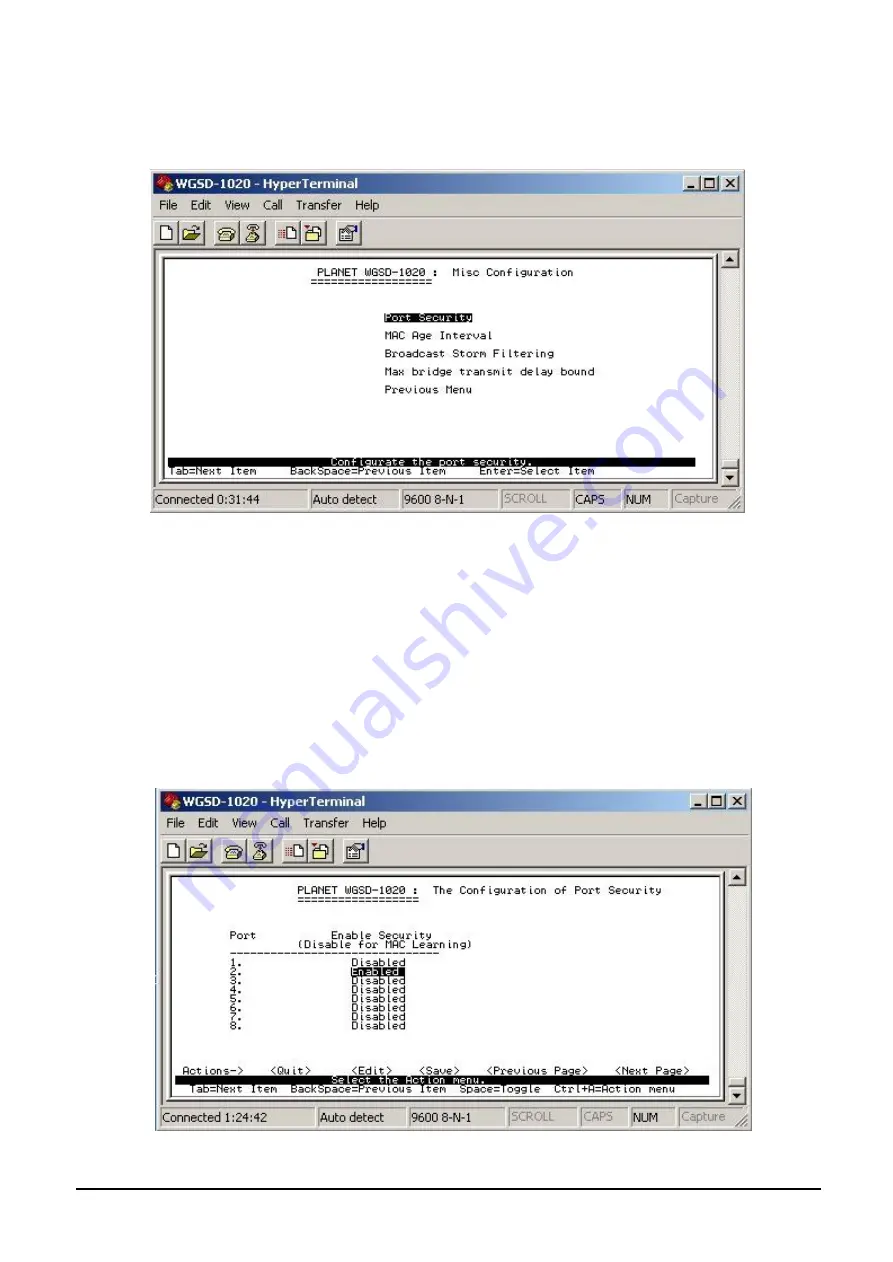 Planet WGSD-1020 User Manual Download Page 31