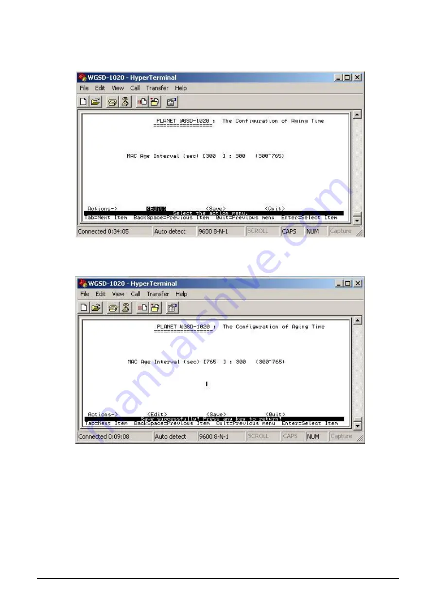 Planet WGSD-1020 User Manual Download Page 32