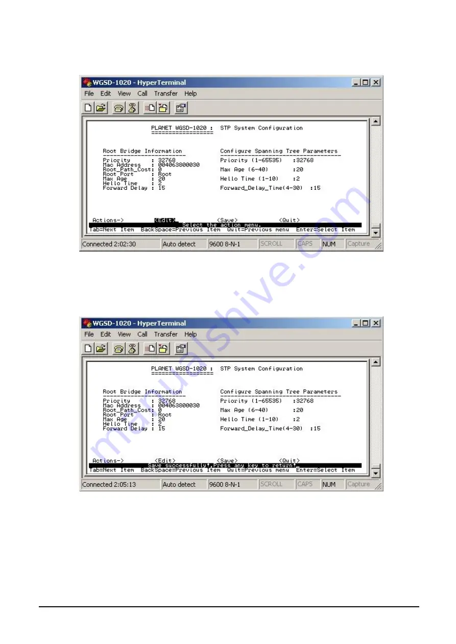 Planet WGSD-1020 User Manual Download Page 39