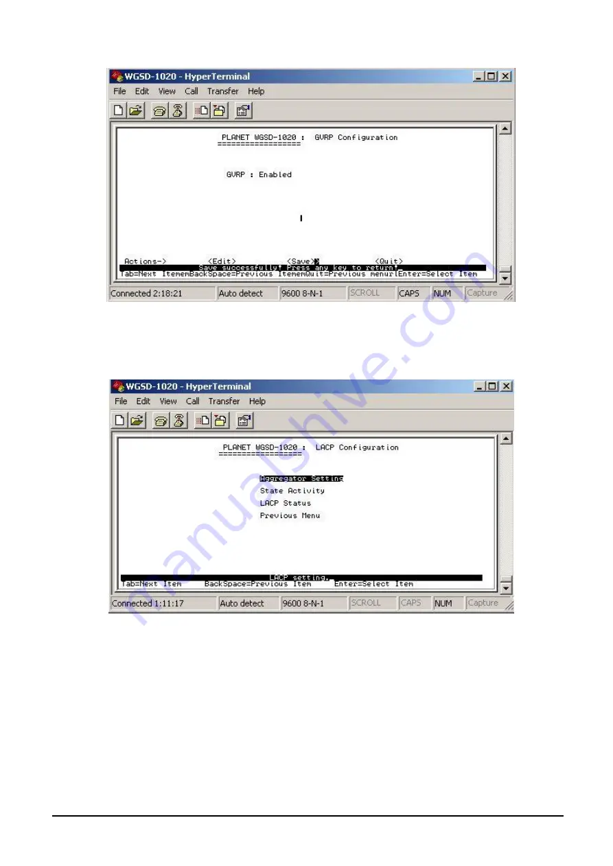 Planet WGSD-1020 User Manual Download Page 45